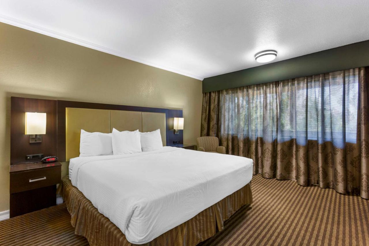 Best Western Royal Sun Inn & Suites Tucson Eksteriør bilde